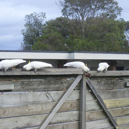 Motel Marengo Apollo Bay Luaran gambar