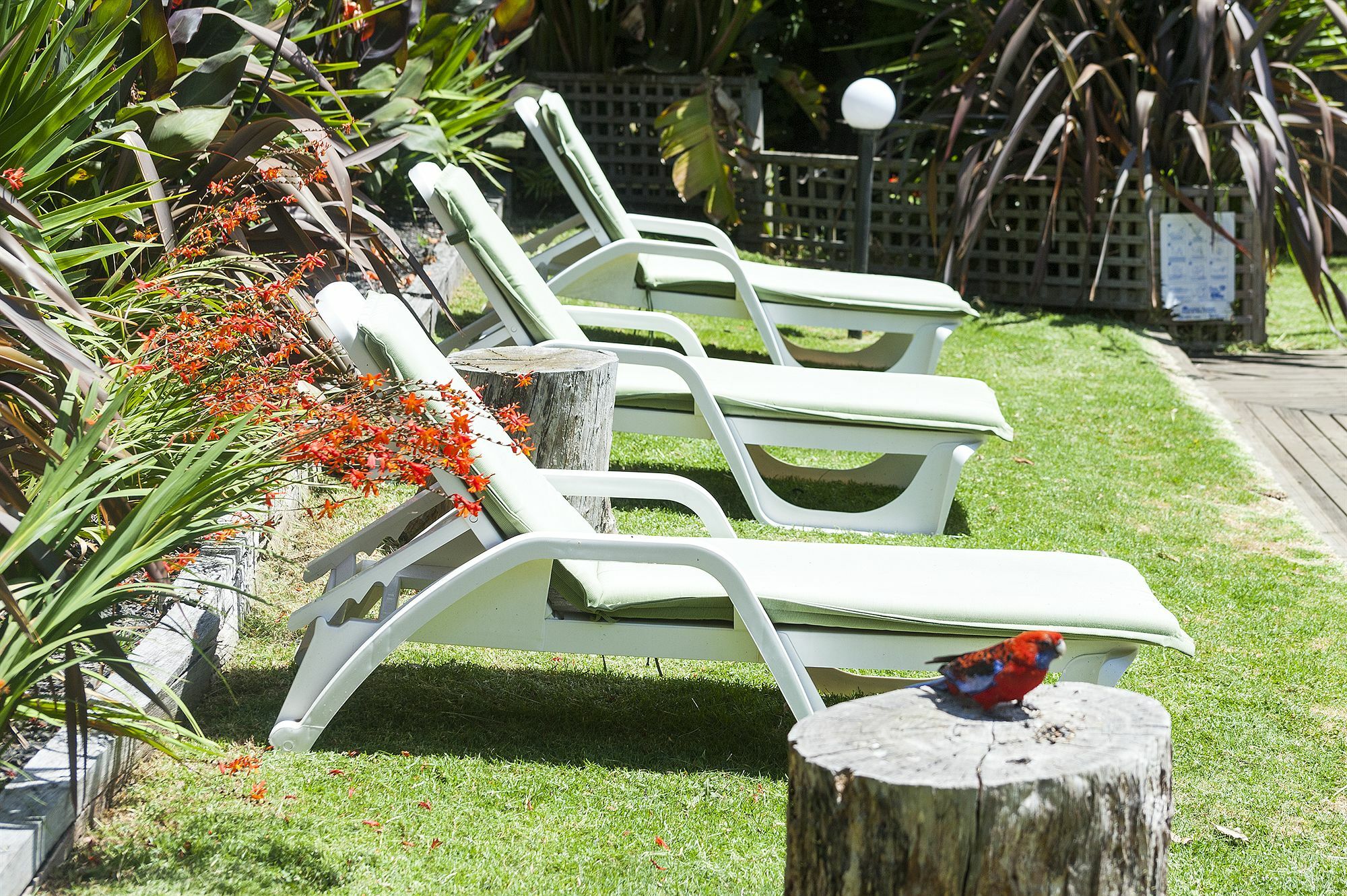 Motel Marengo Luaran gambar